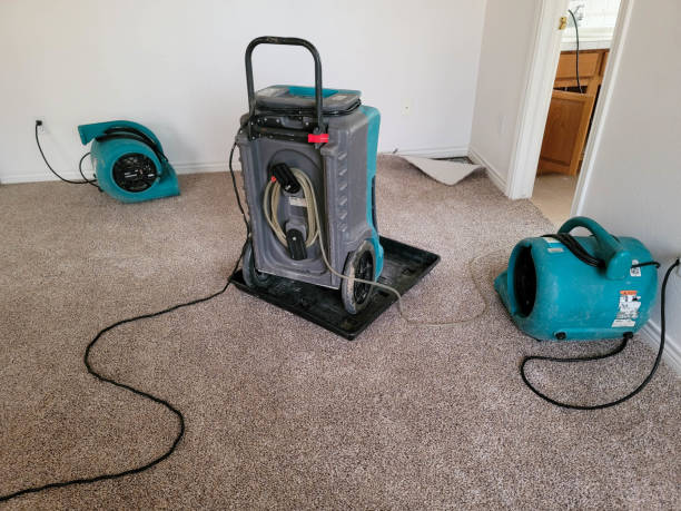 Best Water damage restoration mold remediation  in Day Valley, CA