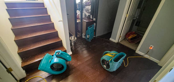 Best Flood restoration services  in Day Valley, CA