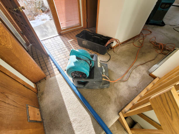 Best Commercial water damage restoration  in Day Valley, CA