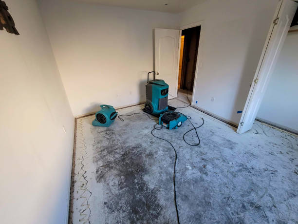  Day Valley, CA Water damage restoration Pros