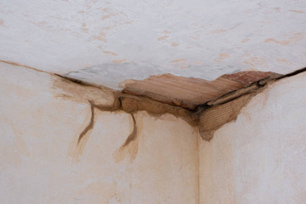 Best Residential water damage restoration  in Day Valley, CA