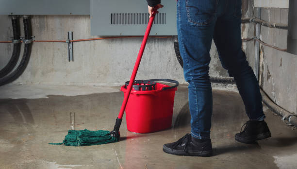 Best Mold removal after water damage  in Day Valley, CA