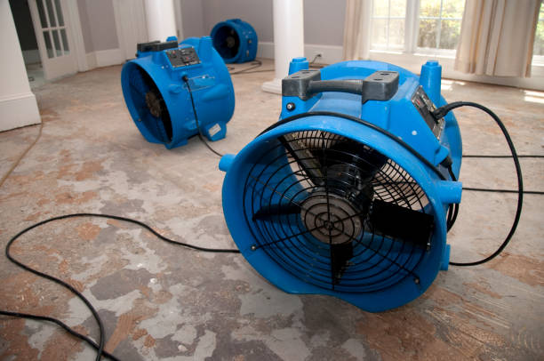 Best 24/7 water damage repair  in Day Valley, CA