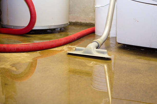 Best Ceiling water damage repair  in Day Valley, CA