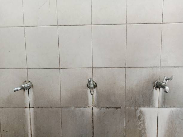Best Professional water damage repair  in Day Valley, CA