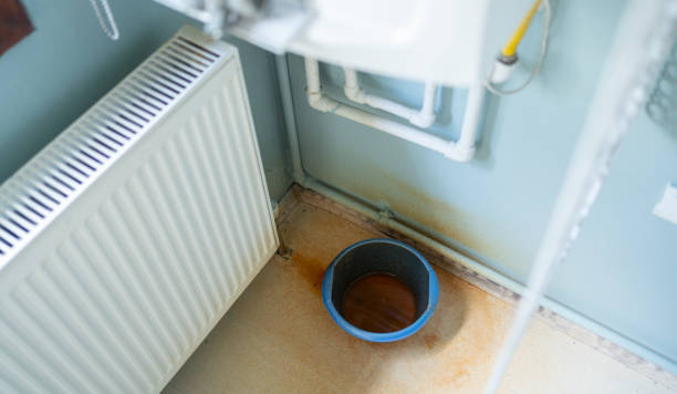 Best Water damage restoration near me  in Day Valley, CA