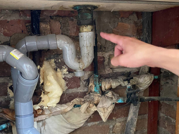 Best Sewage cleanup and water damage restoration  in Day Valley, CA